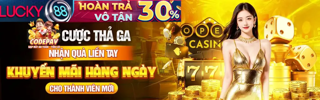 Câu hỏi thường gặp về VIP